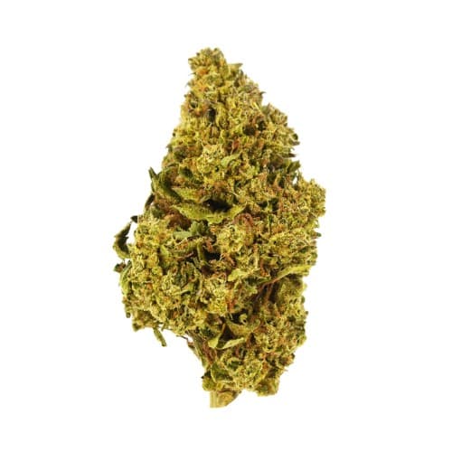 Exotix - Mendo Crumble (I) - 14g