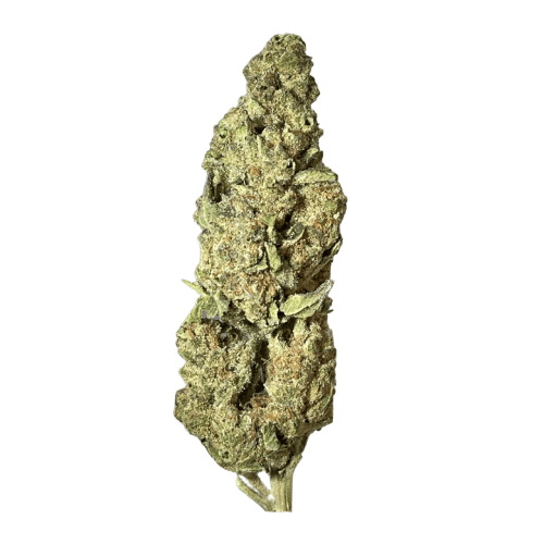 Exotix - Pluto Runtz (I) - 14g