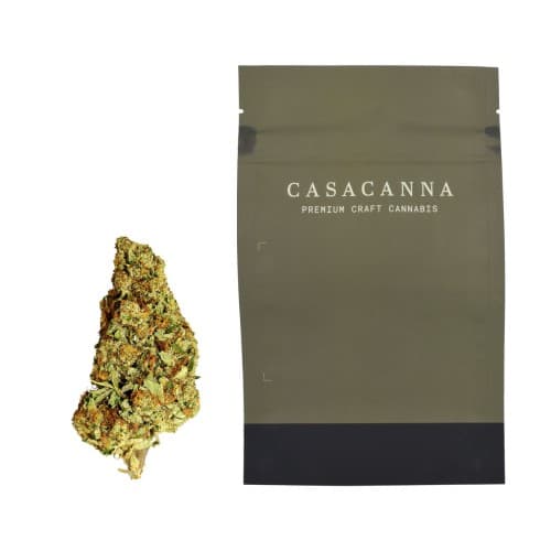 Casa Canna - Purple Punch - Seeded (I) 28g