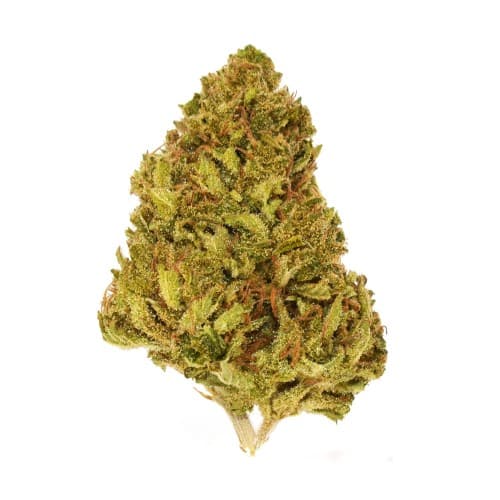 Black - Rainbow Belts (I) - 14g