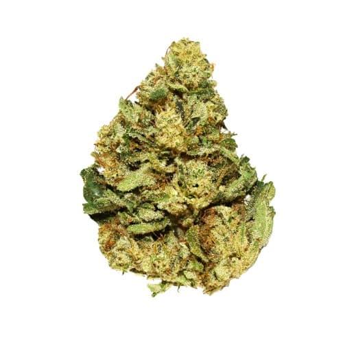 Exclusive - Ron Burgundy (I) - 28g