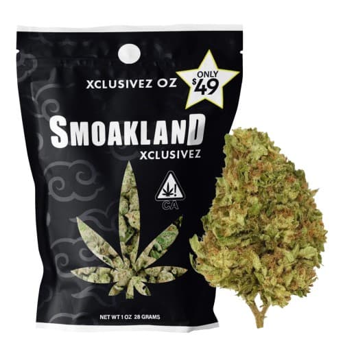 Xclusivez - Carbon Fiber (H) - 28g