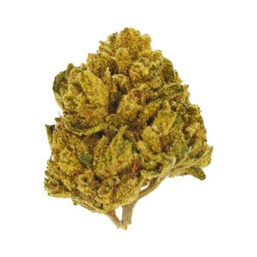 Lucy's - Sticky Fingers (H) - 14g
