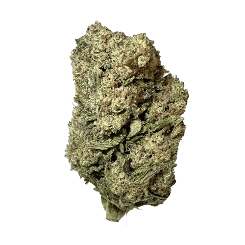 Exotix - Top Gun (H) - 14g