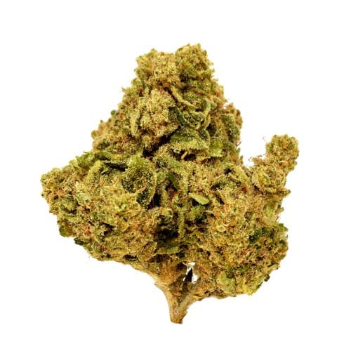 BLACK - Town Berries (I) - 14g