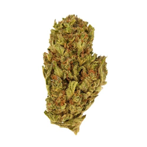 Exclusive - TriCross (H) - 28g