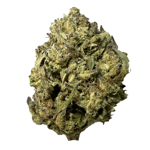 Sierra Hills - Tropical Gelato (H) - 28g