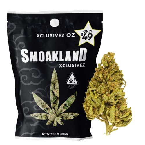 Xclusivez - Tutti Frutti - 28g