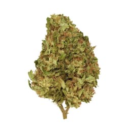 Wappa (Hybrid) - 28g