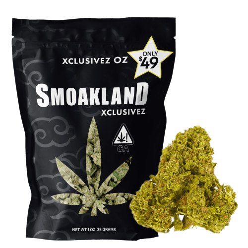 Xclusivez - Glookies (H) - 28g