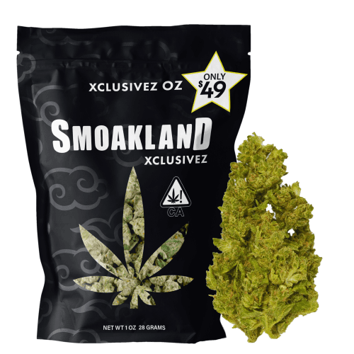 Xclusivez - Jet Fuel (S) - 28g