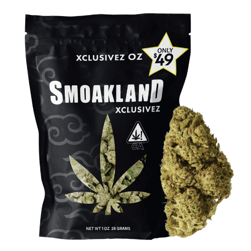 Xclusivez - Gorilla Glue (H) - 28g