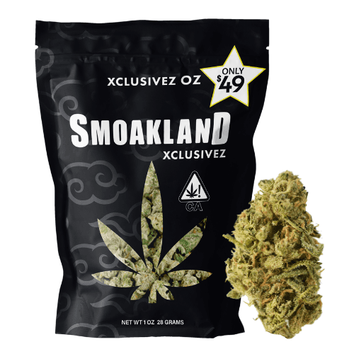 Xclusivez - Bad bunnyy (H) - 28g