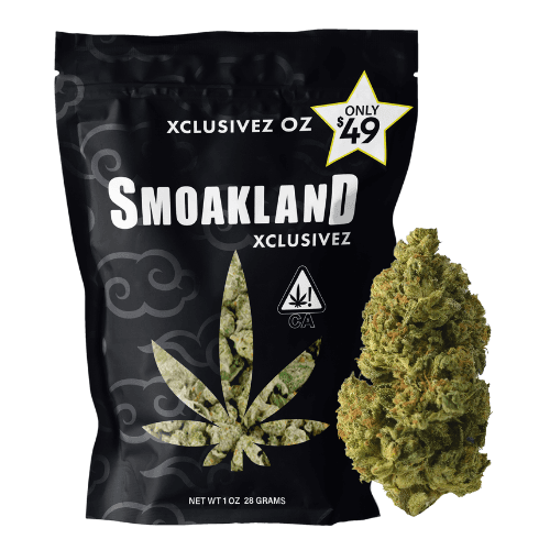 Xclusivez - Barry Bonds (I) - 28g