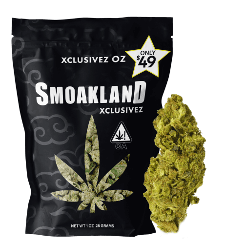 Xclusivez - Jet Fuel (H) - 28g