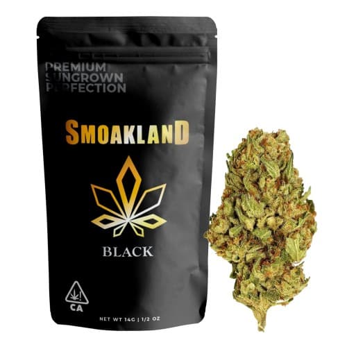 Black - Watermelon Gelato (I/H) - 14g