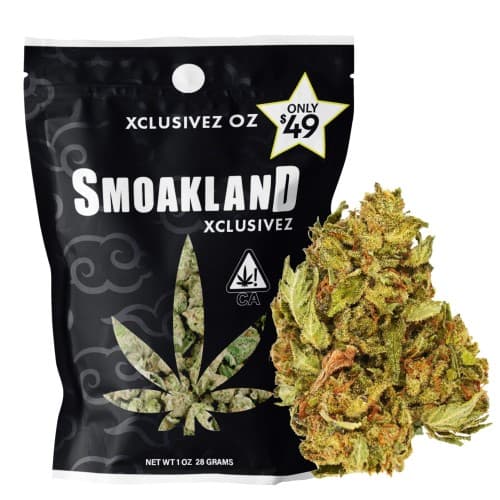 Xclusivez - Apple Fritter - 28g