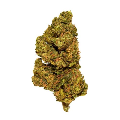 Black - Blue Cookies (I/H) - 14g