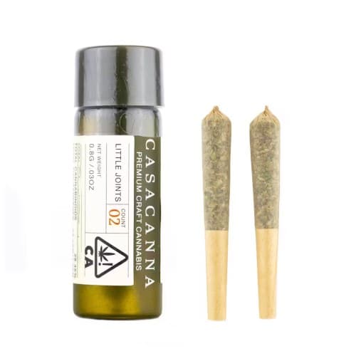 Gift CASACANNA - Purple Punch 2pk Pre-roll (I) (marketing)