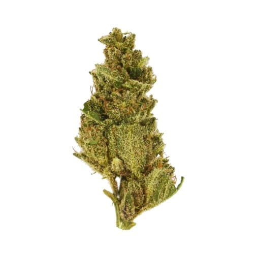 Exclusive - Froot Loops (I) - 28g