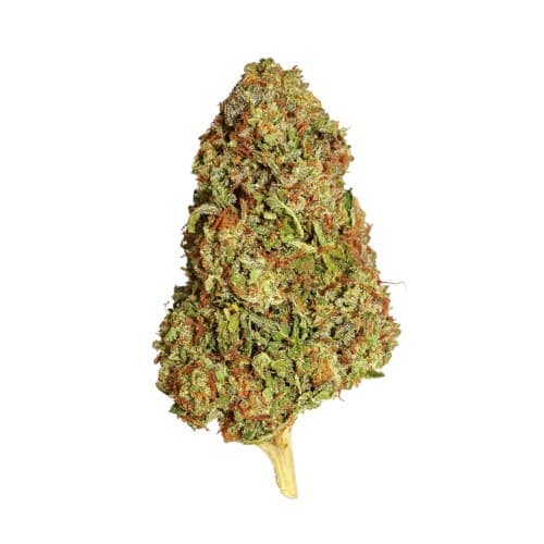 BLACK - Ghost Vapor (H) - 14g