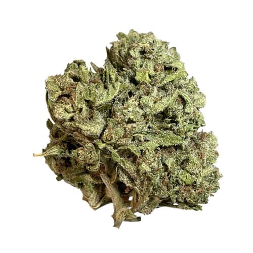 Xclusivez - Gorilla Glue (H) - 28g