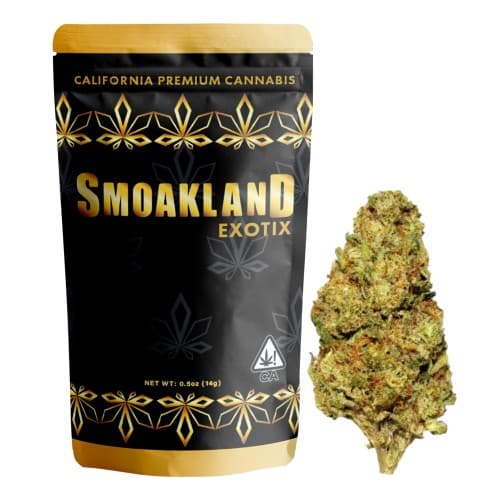 Exotix - Gush Mintz (H) - 14g