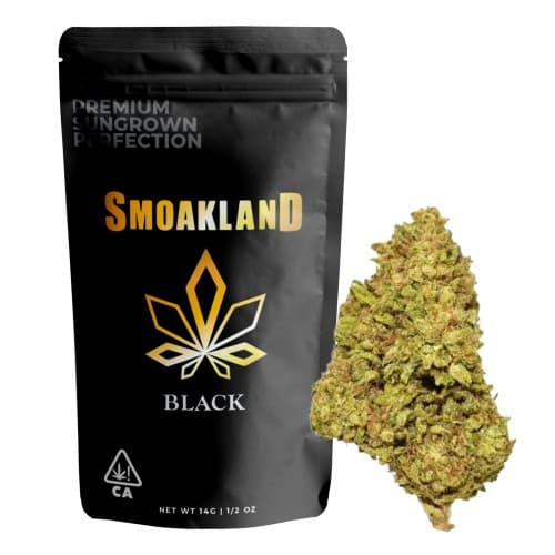 Black - Indigo Diamond (H) - 14g