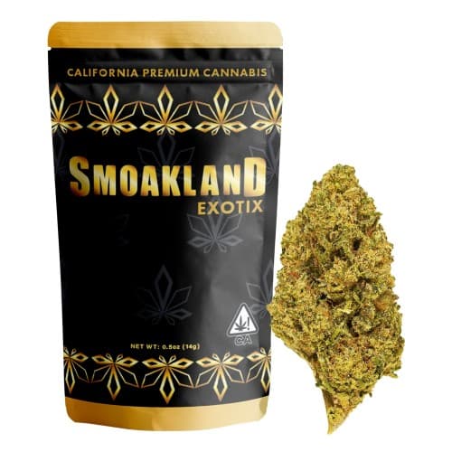 Exotix - Golden State Gelato (H) - 14g