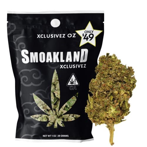 Xclusivez - Platinum Zkittlez (H) - 28g