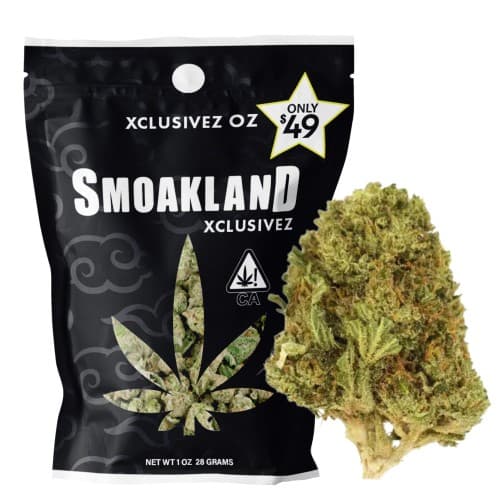 Xclusivez - Runtz (I) - 28g