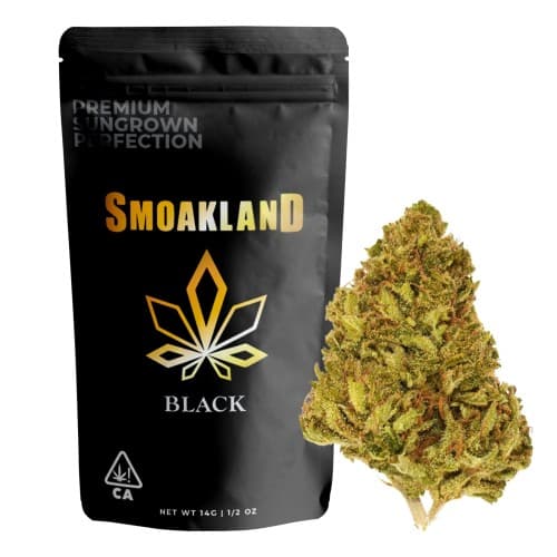 Black - Rainbow Belts (H) - 14g