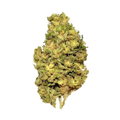 BLACK - Space Cake (H) - 14g