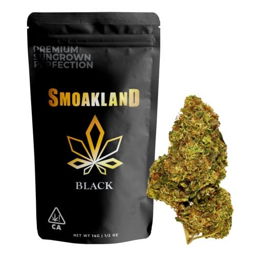 Black - Trainwreck (S) - 14g