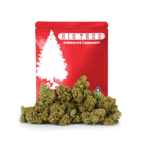 Big Tree - Wagyu (H) - 14g